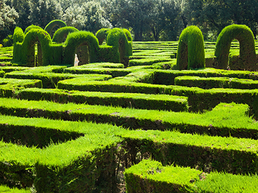 Maze-Garden-small