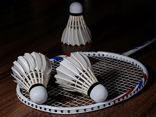 Badminton-Courts-small